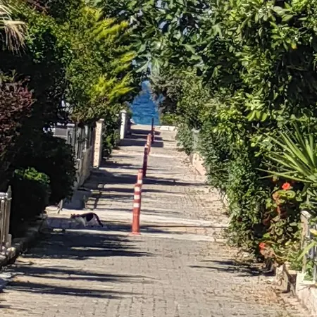 Casa vacanze Kushadasi Long *